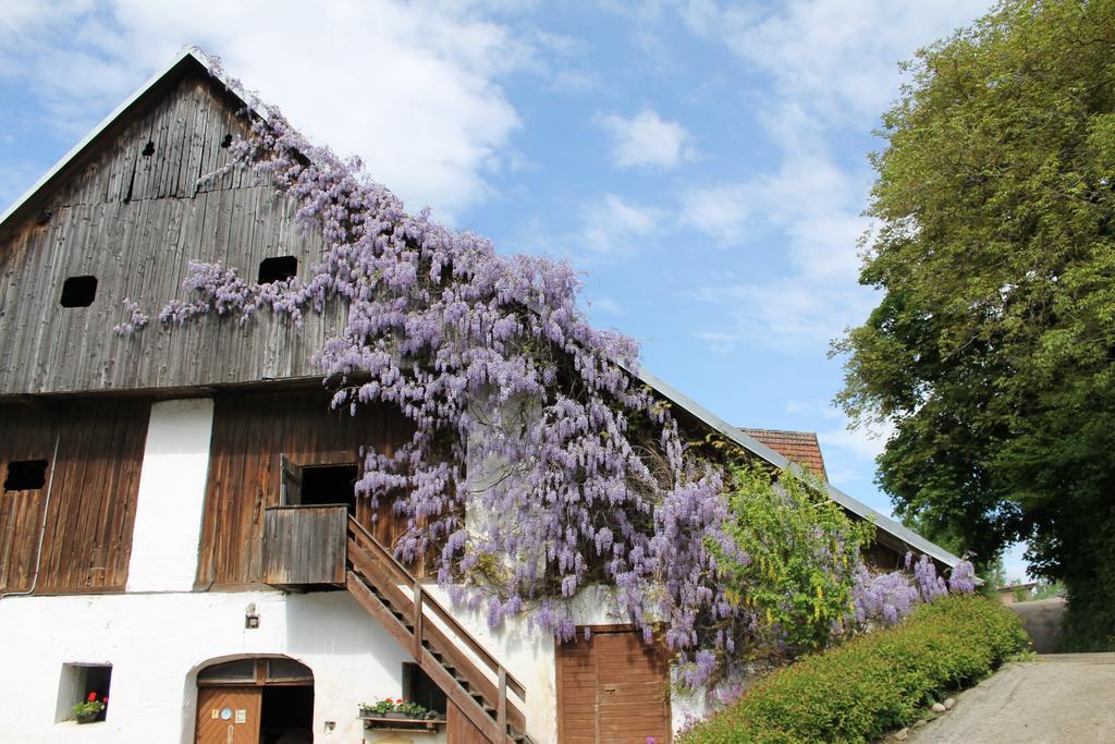 Pension Neuhof Ossiach Exterior foto
